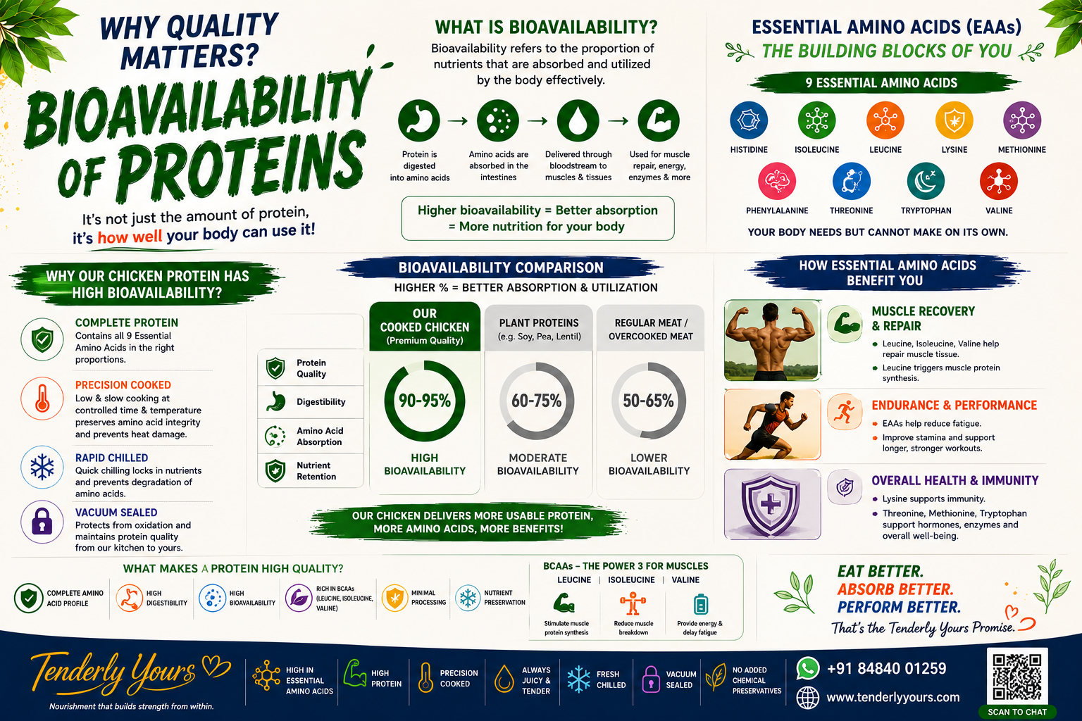 Why protein bioavailability matters for muscle growth and recovery